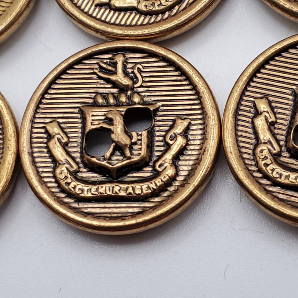 20 Vintage Military Buttons SPECTEMUR AGENDO 2 hole 5/8" Lions Shield